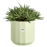 facet round 30cm tea green